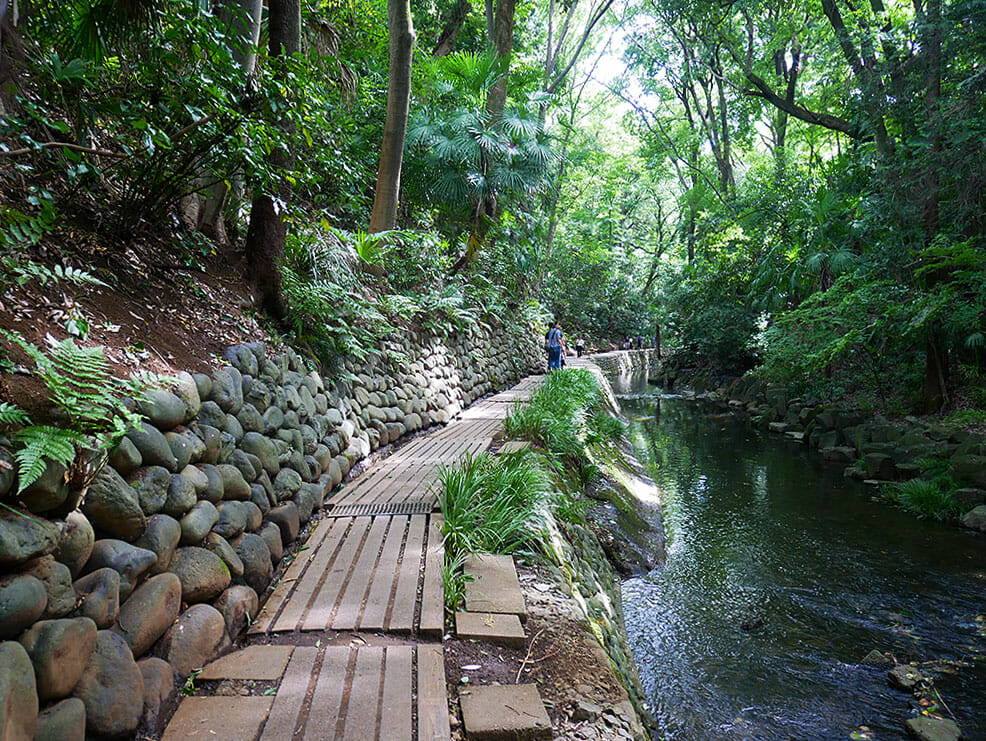 暑すぎるぜ東京 マイナス3度を実感できる都内の避暑地を探してみた Lamire ラミレ