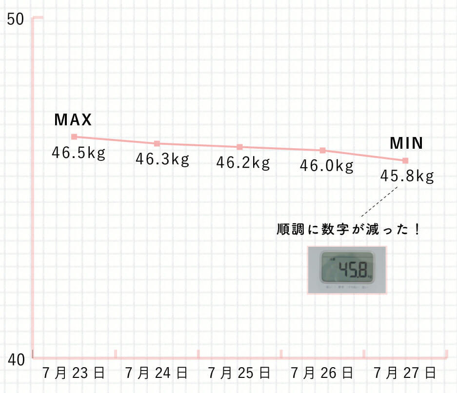 ズボラダイエットでどこまで痩せられるのか 4つの方法で日間検証 Lamire ラミレ