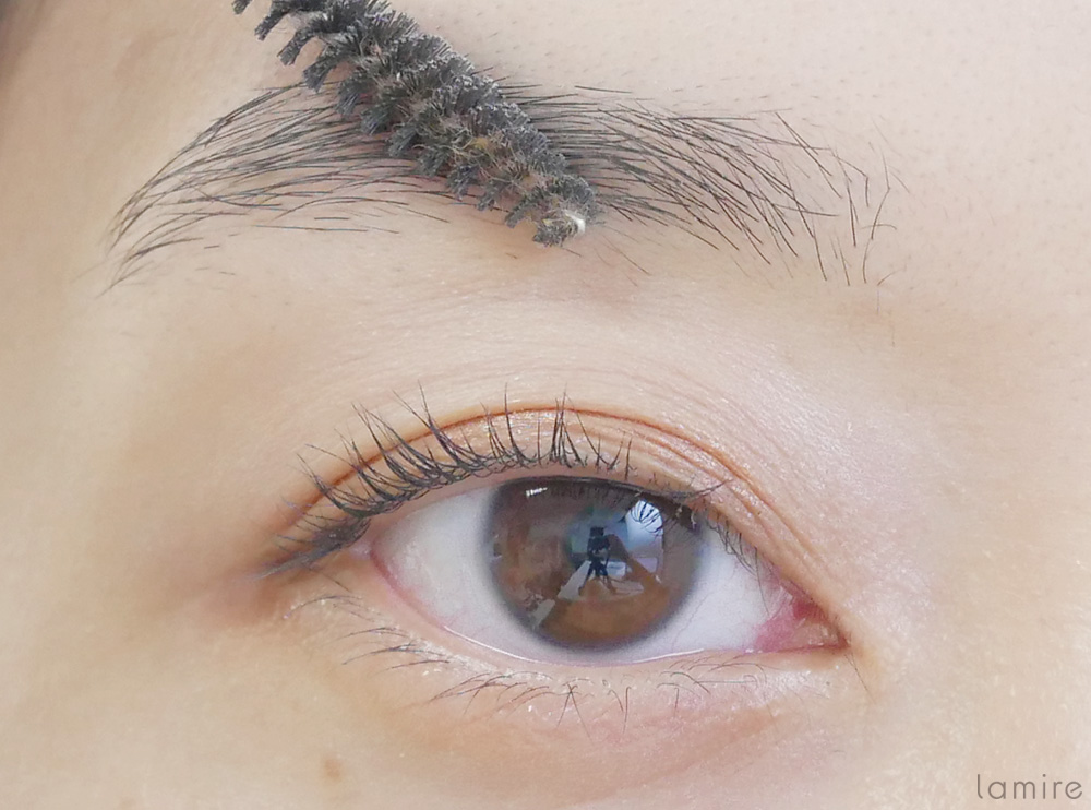スクリューブラシで眉毛の流れを整えている女性の目元の写真