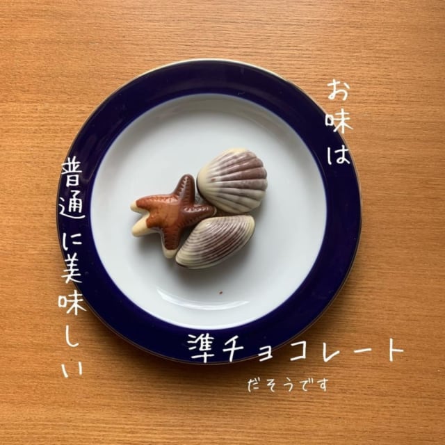 チョコレートシーシェル