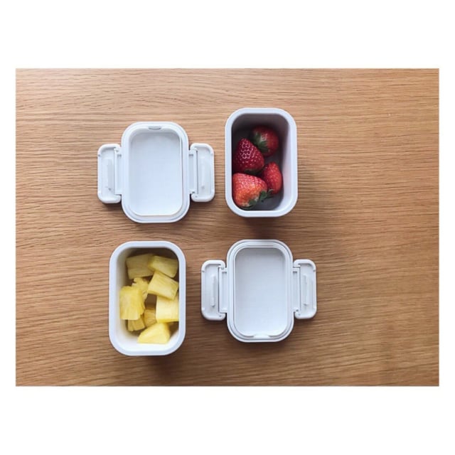 バックル付き弁当箱・小