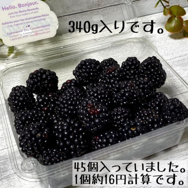 メキシコ産ブラックベリー