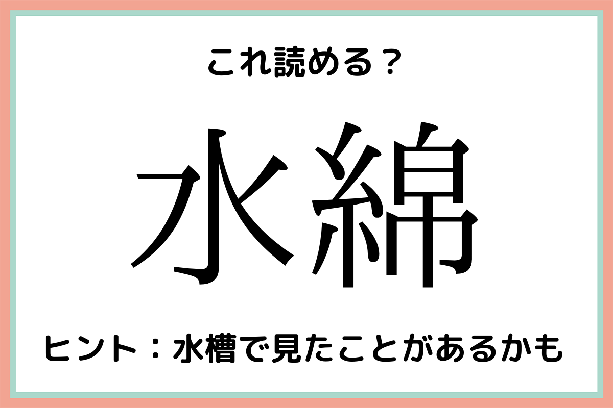 難しい漢字水綿