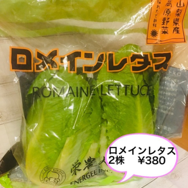 ロメインレタス
