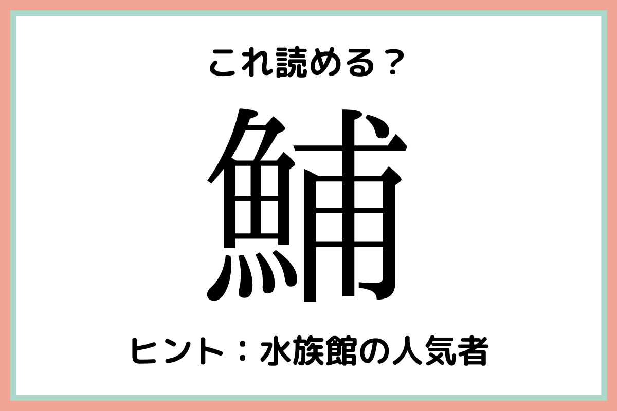 鯆 って何だっけ 読めそうで読めない難読 魚偏 漢字 Lamire ラミレ