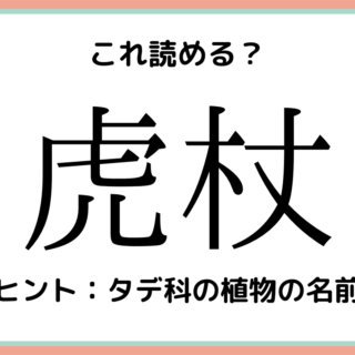 植物 漢字 一覧