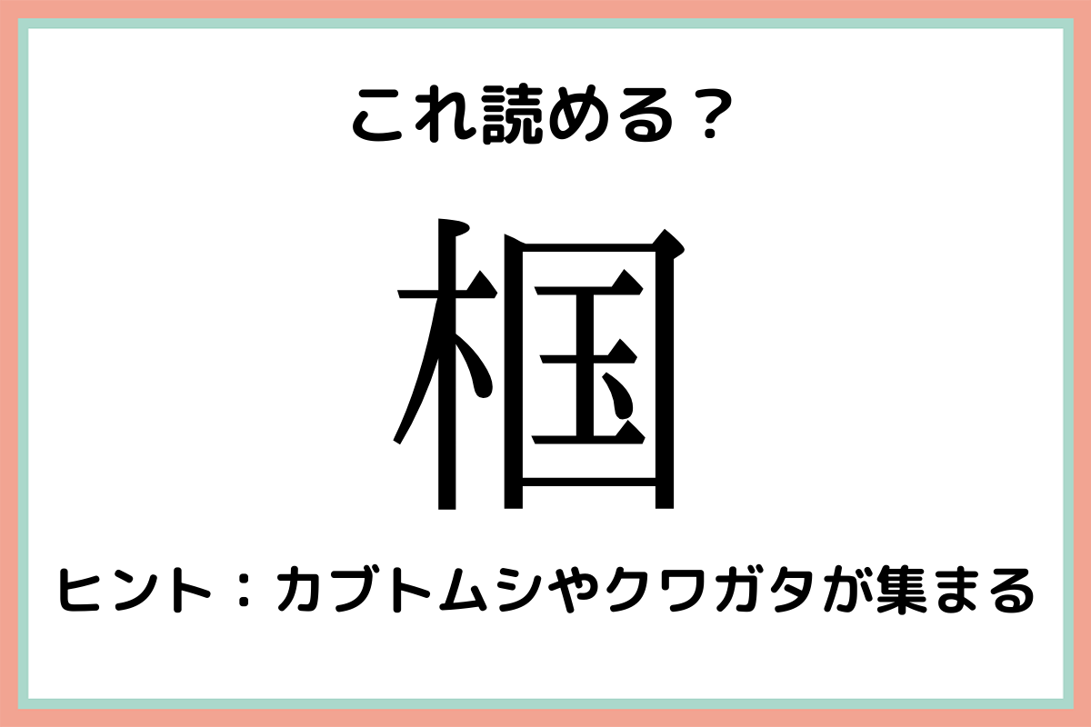 椢 きくに 読めたらスゴイ 一文字 難読漢字 4選 Lamire ラミレ