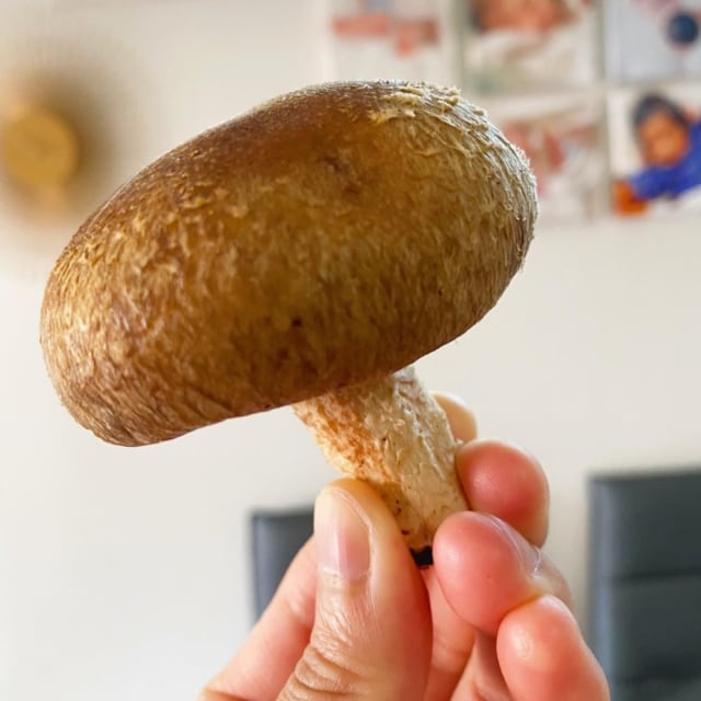 コストコのしいたけ