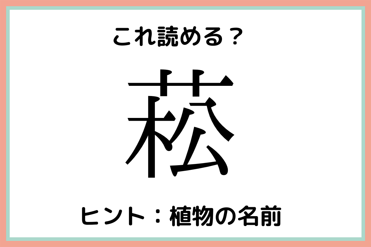 菘 まつ じゃない 読めそうで読めない 植物の難読漢字 4選 Lamire ラミレ