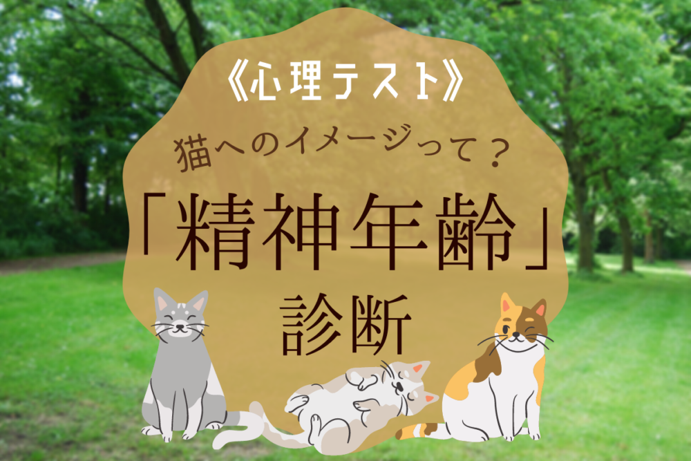 【心理テスト】猫へのイメージであなたの「精神年齢」がわかっちゃう!?
