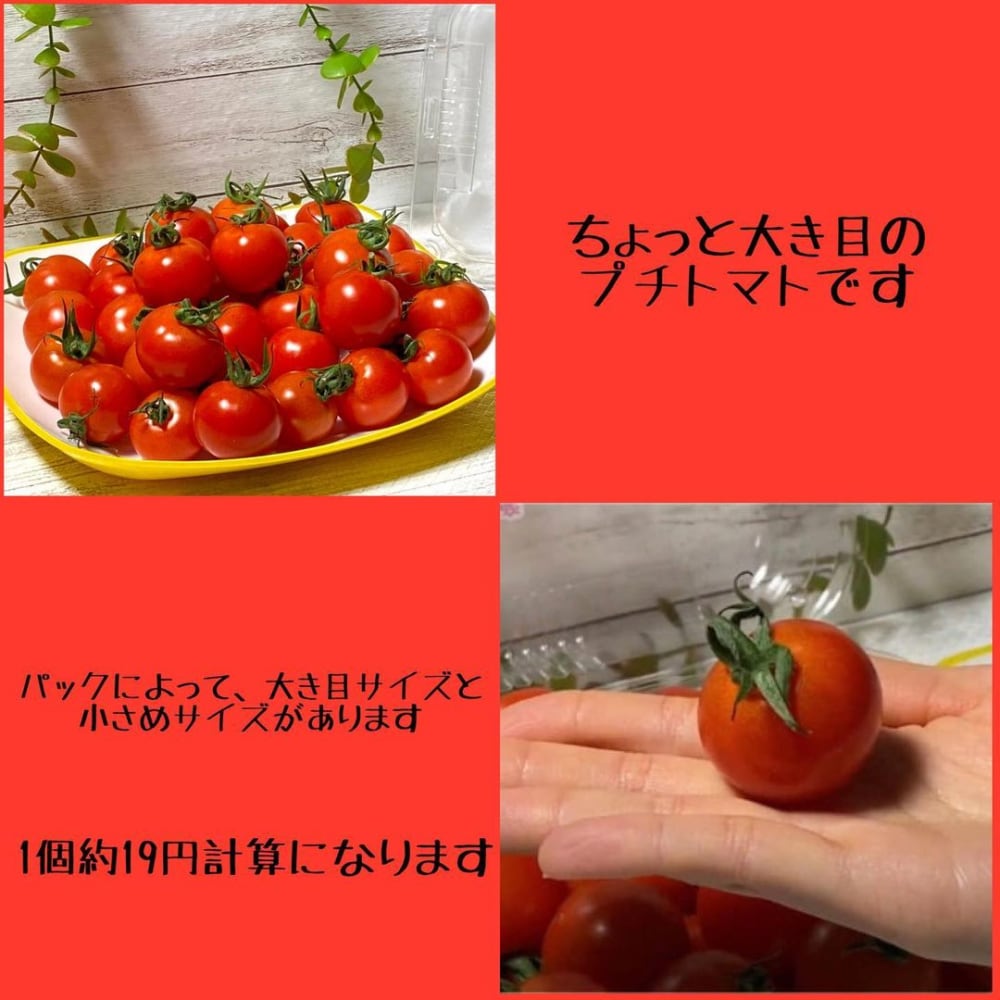 はなひめトマト