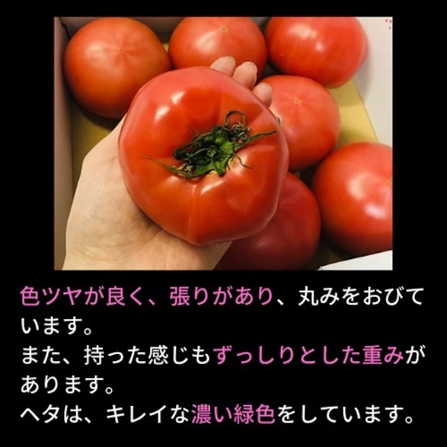 コストコの桃太郎トマト