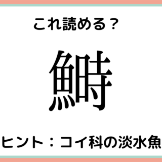 難しい漢字 に関する記事一覧 Lamire ラミレ