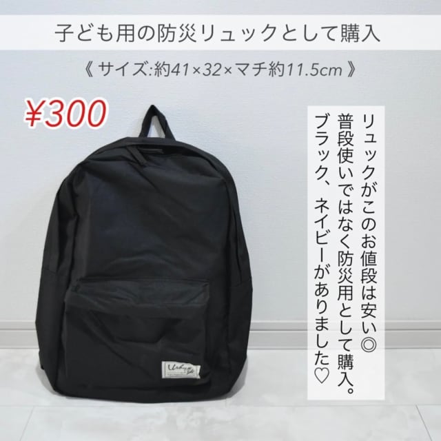 ダイソーのリュック