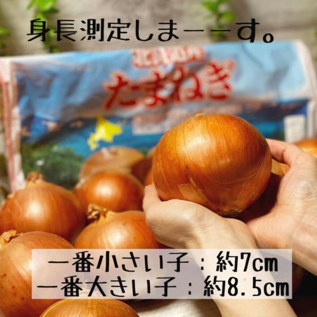 コストコのたまねぎ