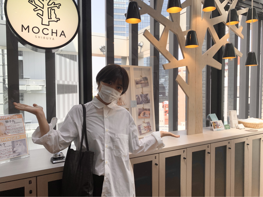 猫カフェ MOCHA （モカ）渋谷センター街店
