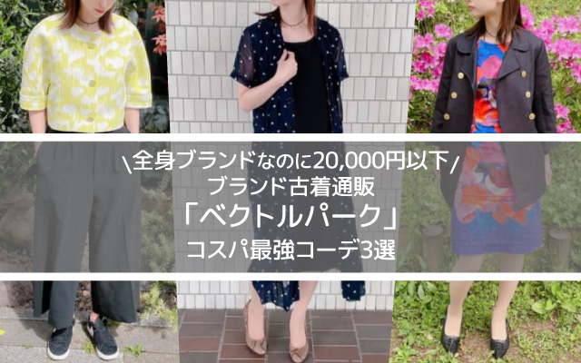 ベクトルパークコーデ3選