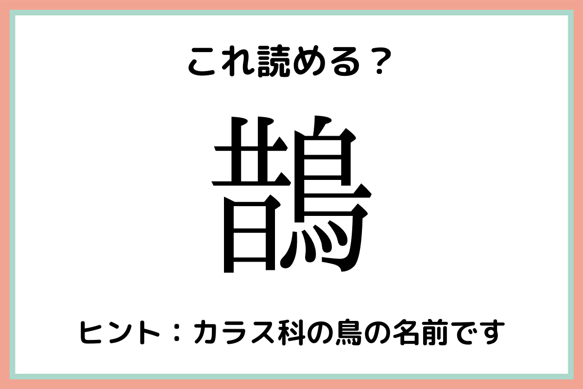 鵲 むかしのとり 読めたらスゴイ 鳥の難読漢字 4選 Lamire ラミレ