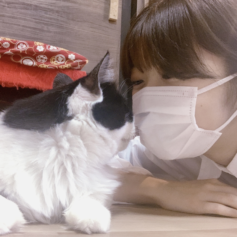 松田奈緒子先生　保護猫