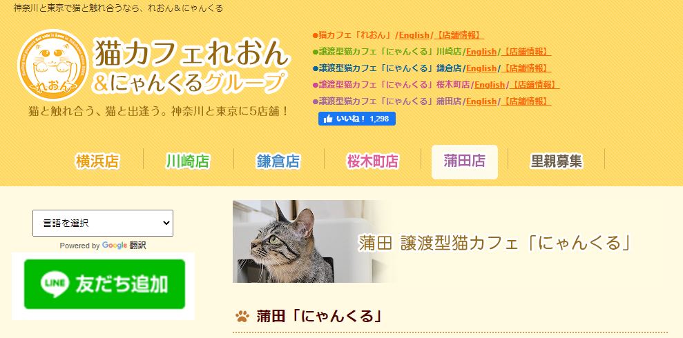 蒲田でおすすめの譲渡型猫カフェにゃんくる蒲田町店公式サイト