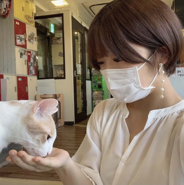 猫まるカフェ上野店のおやつタイム