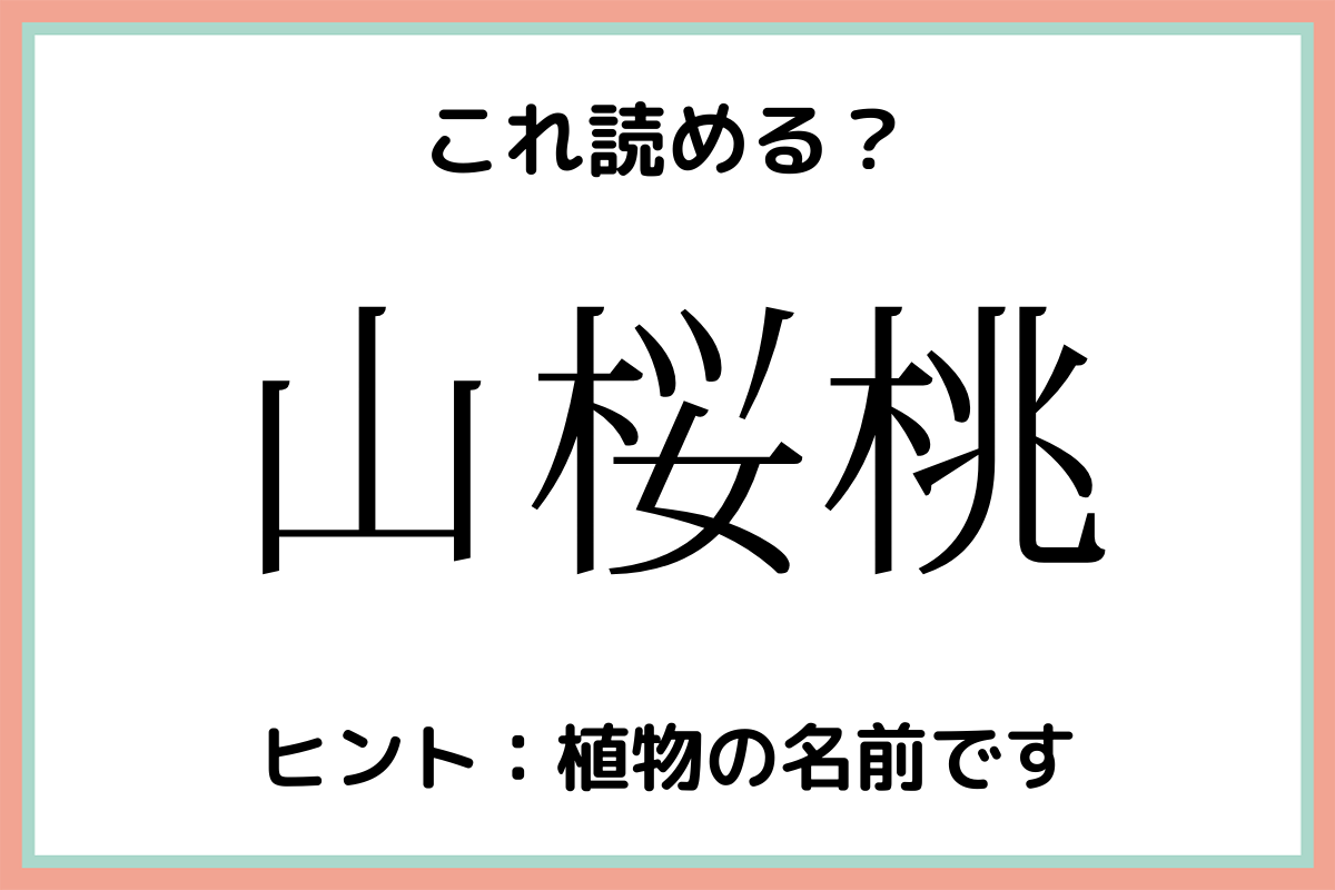 山桜桃 やまさくらもも 読めたらスゴイ 難読漢字 4選 Lamire ラミレ