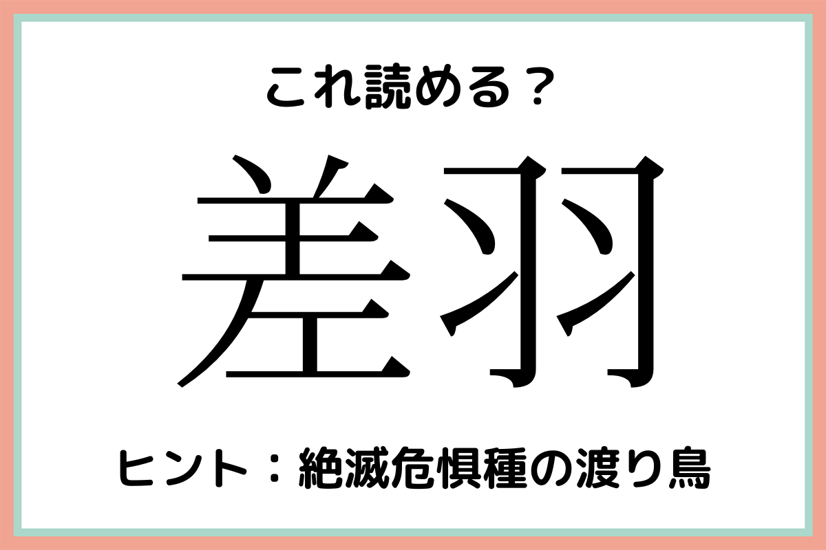 差羽 さはね 読めたらスゴイ 難読漢字 4選 Lamire ラミレ