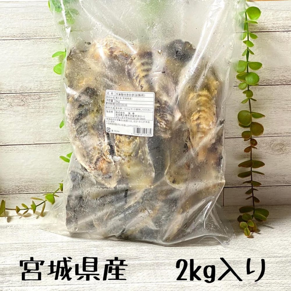 冷凍殻付き牡蠣