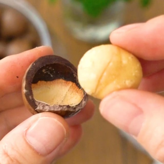 コストコの殻付きマカダミアナッツ