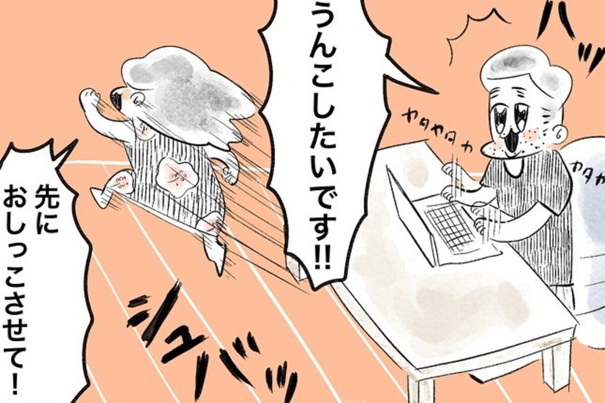 ＜申告制＞1